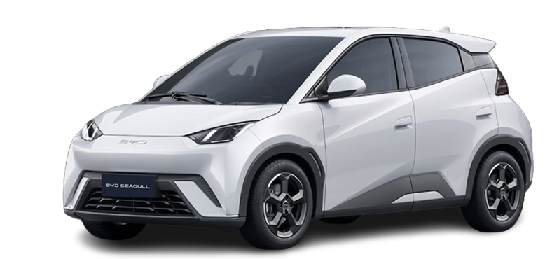 2026 BYD Seagull